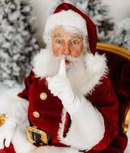 Load image into Gallery viewer, Santa photos